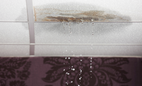 Plumber Doncaster East